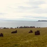 Follies Ballyvoile Δωμάτια σε οικογενειακή κατοικία *