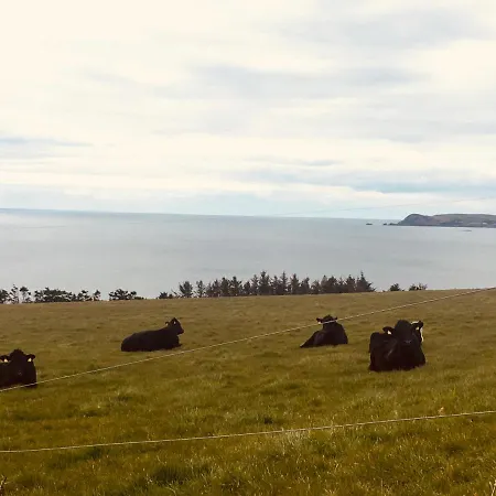 Follies Ballyvoile Homestay *