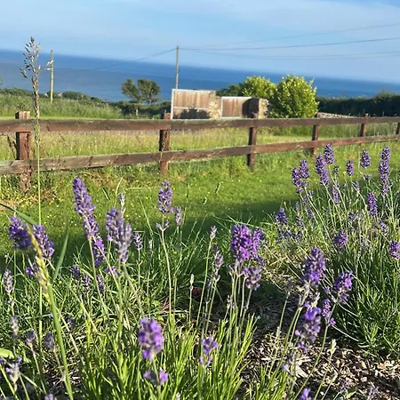 Ubytování v soukromí Follies Ballyvoile *