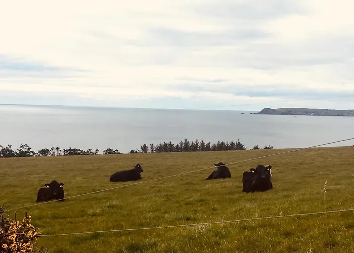 Follies Ballyvoile Проживание в семье *