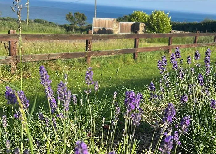 Rum i privatbostad Follies Ballyvoile *